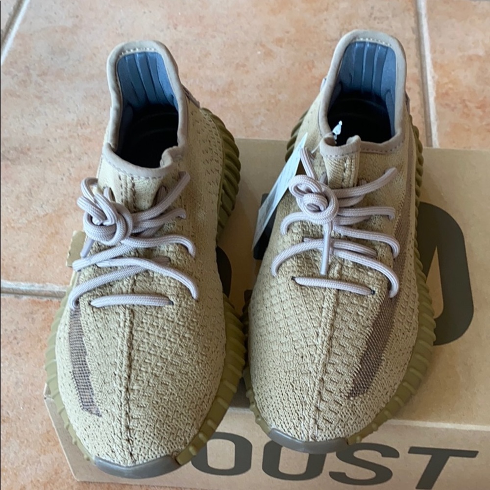 Yeezy earth 350